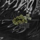 420 feat Veneno Single