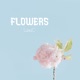 Flowers Single