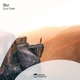 Blur Single