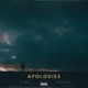 Apologies feat Magazine Single
