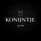 Konijntje Single