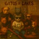 Gatos Canes