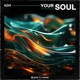 Your Soul Single