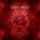 Singularity Single
