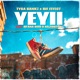 Yeyii feat Mfana Mdu DaJiggySA Single