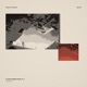 Spider Web Single