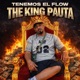 Tenemo El Flow Single