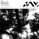 Peace Single