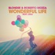 Wonderful Life feat LiMa Single