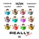 Really Remix feat CAPO C Money Remz Single
