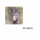 im Sorry feat Rylorie Single