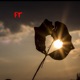 Ft feat Frank Single