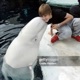 SEA WORLD Single