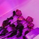 on the edge feat periksi Single
