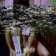 Shy feat Khxos Single