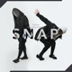 Snap Single
