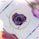Wilted Roses Single