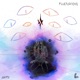 fluctuations Single