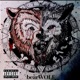 bearWOLF