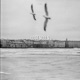 Lost Souls Single