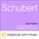 Franz Schubert String Quintet In C D 956 Op 163