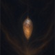 Chrysalis Single