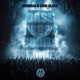 Bass Drops Bodies Move Single