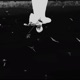 Saint Phony feat Hostileprod Single