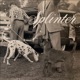 Splinter Demo Single