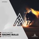 Raging Bulls Single
