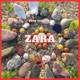 Zara Single