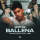 Ballena Single