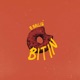 Bitin feat Ya akov Supboi K R S Ego Single
