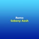 Sebeny Aesh Single