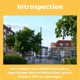 Introspection Single