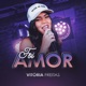 Foi Amor Single