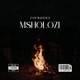 MSHOLOZI Single