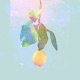 Lemon Single