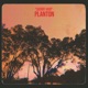 Planton Single