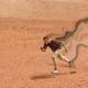 Run EP