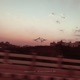 Specular Iridescence EP