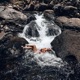 Sacred Waters feat Allumah Single