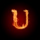 U Single