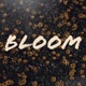 Bloom feat Priv Single
