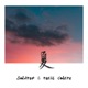 夏 Single