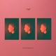 Ymf Single