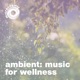 Ambient Music For Wellness EP