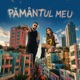 PĂMÂNTUL MEU Single