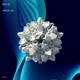 Sand of Life Single