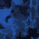 Cat Kitty Cat FVN Jersey Club feat Chasenopup prodbysaint Single